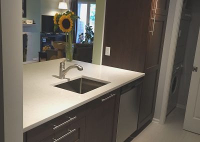 East Vancouver Kitchen Renovation - Sink side